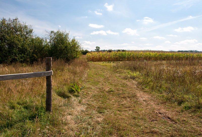 Хоросно з panoramio.com - Хоросно