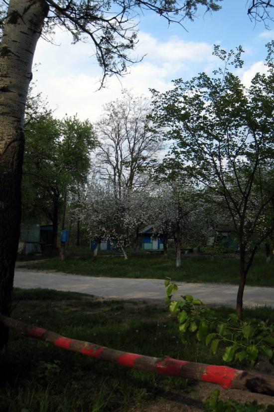 Весела Гора з panoramio.com - Весела Гора