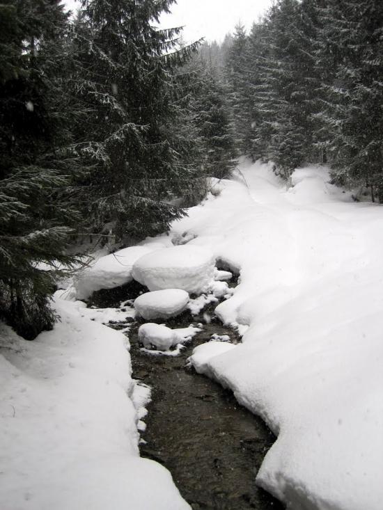 Нижня Рожанка з panoramio.com - Нижняя Рожанка