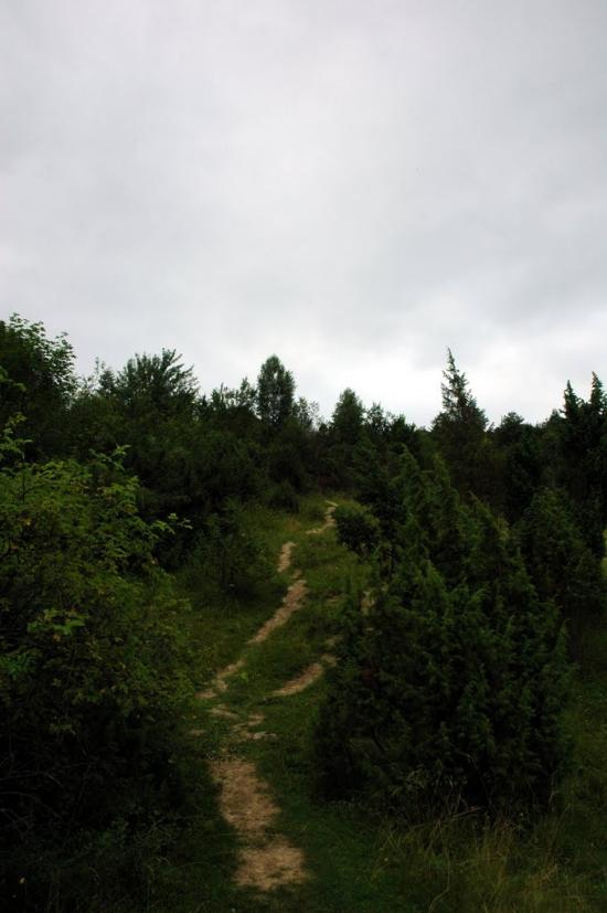 Рибник з panoramio.com - Rybnyk