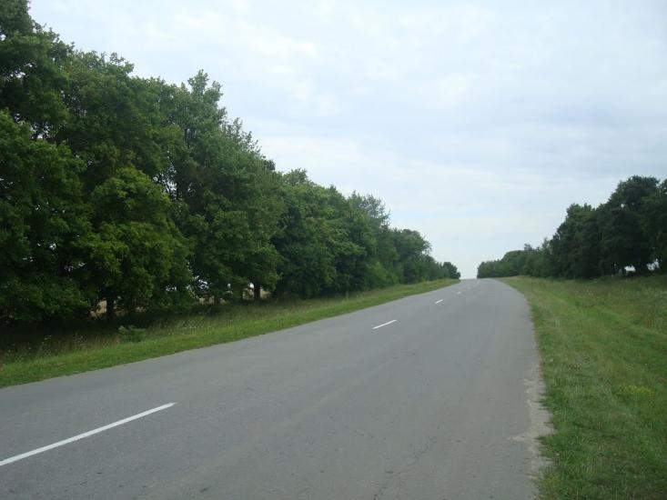 Віньківці з panoramio.com - Виньковцы