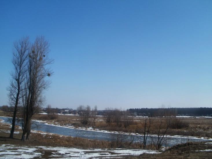 Куна з panoramio.com - Куна