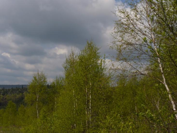 Орів з panoramio.com - Оров