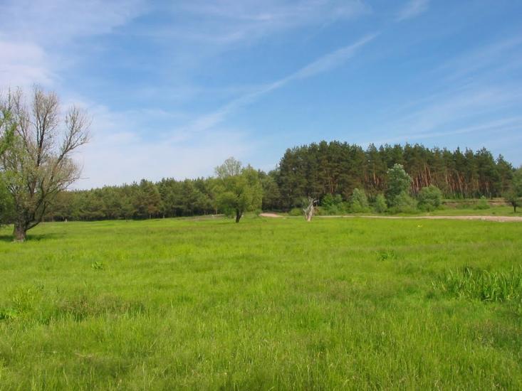 Циркуни з panoramio.com - Циркуни