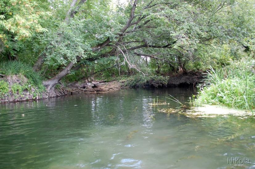 Бахмутівка з panoramio.com - Бахмутовка
