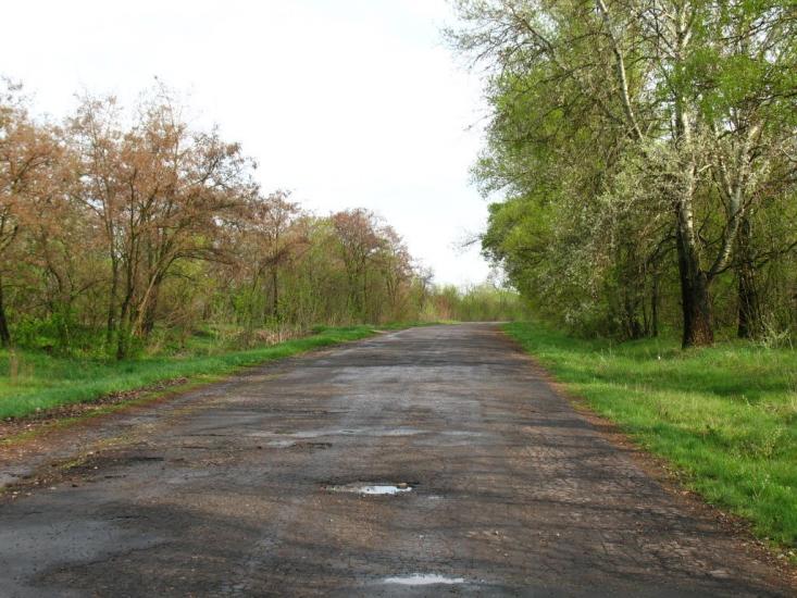 Заїченці з panoramio.com - Заїченці