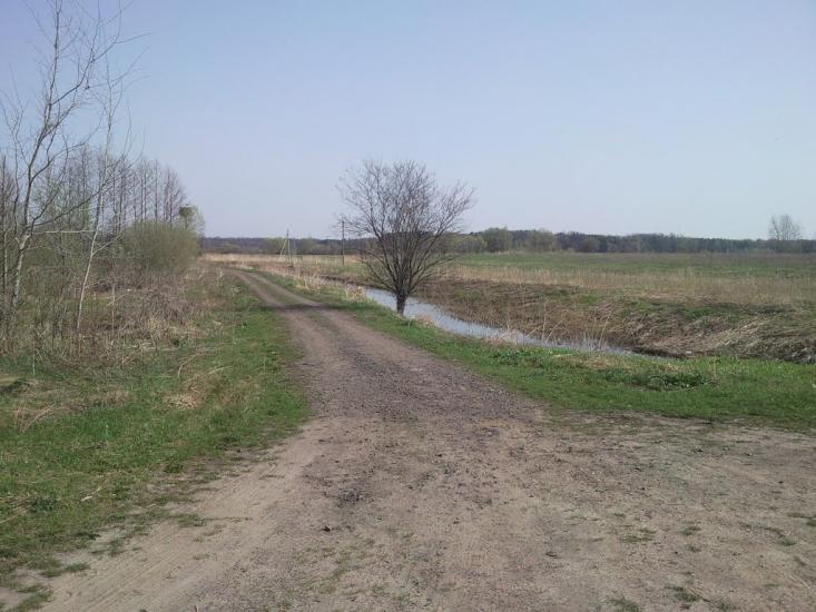 Сокиричі з panoramio.com - Сокиричі