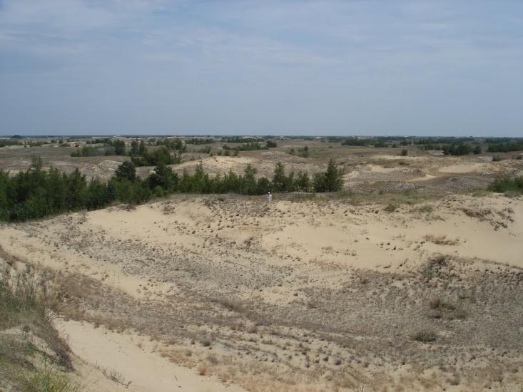 Пролетарка з panoramio.com - Пролетарка