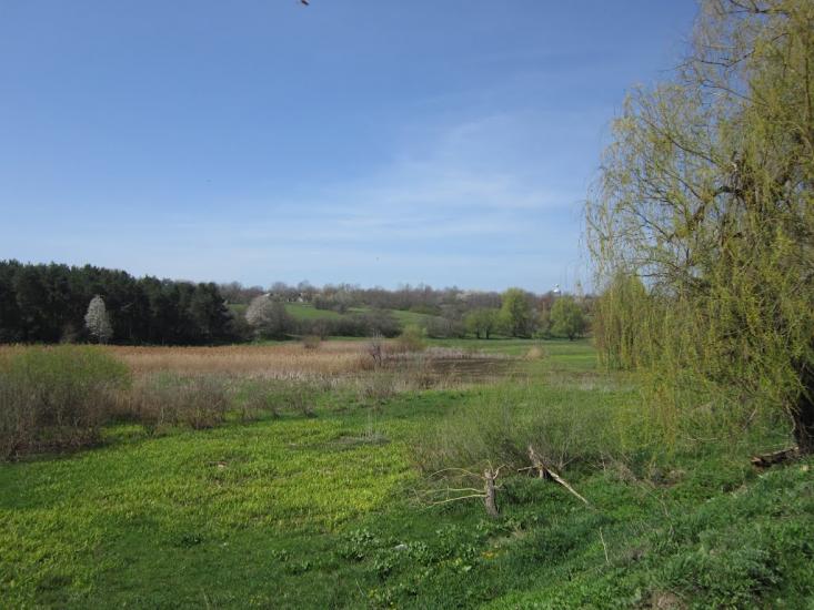 Михайлівка з panoramio.com - Михайлівка