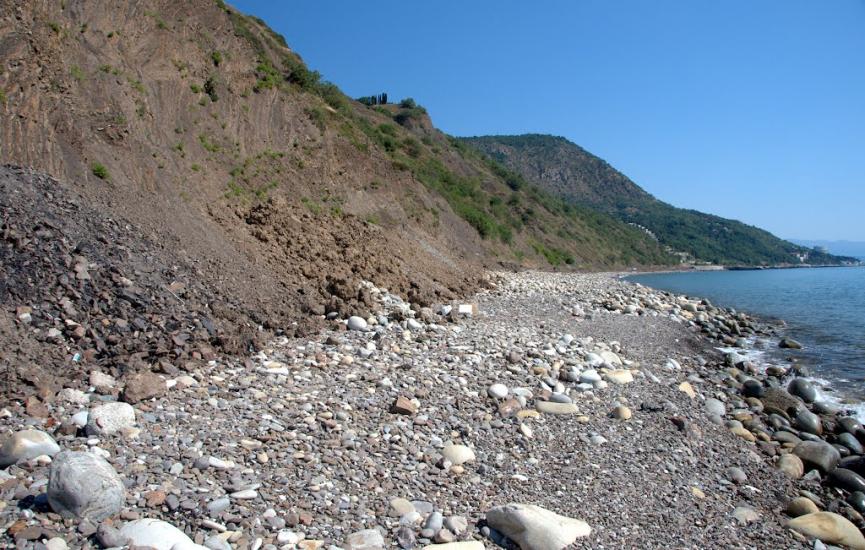 Чайка з panoramio.com - Чайка