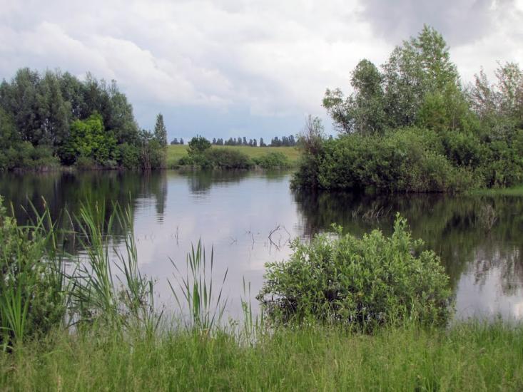 Халявин з panoramio.com - Халявин