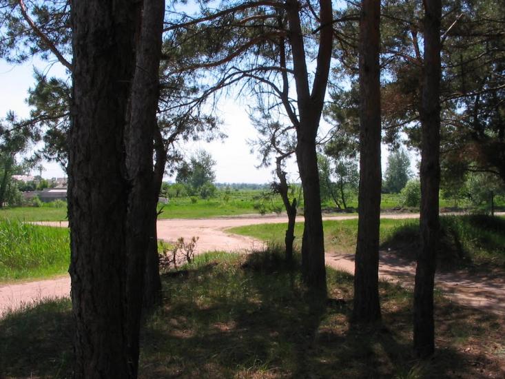 Циркуни з panoramio.com - Циркуны
