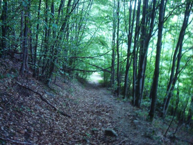 Красна з panoramio.com - Krasna