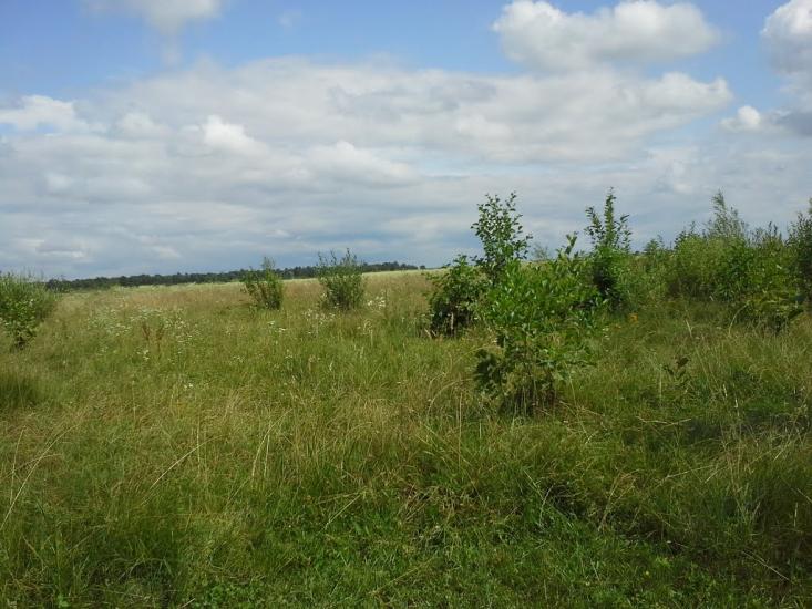 Вирка з panoramio.com - Vyrka
