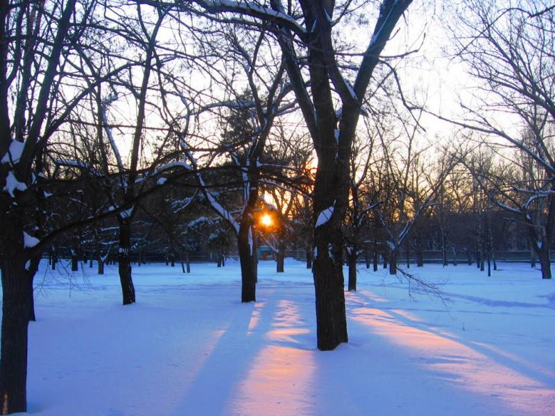 Володимирівське з panoramio.com - Владимирское