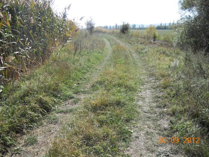Денисівка з panoramio.com - Денисівка
