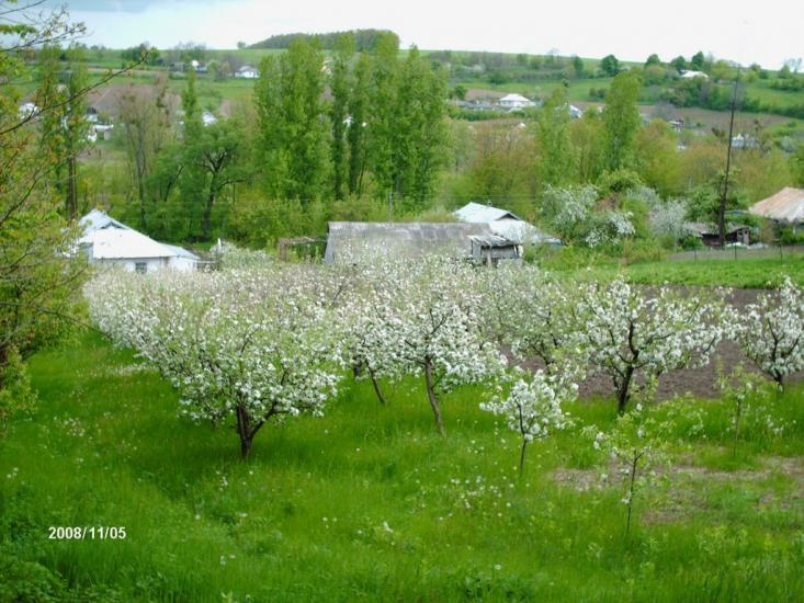 Джурин з panoramio.com - Джурин