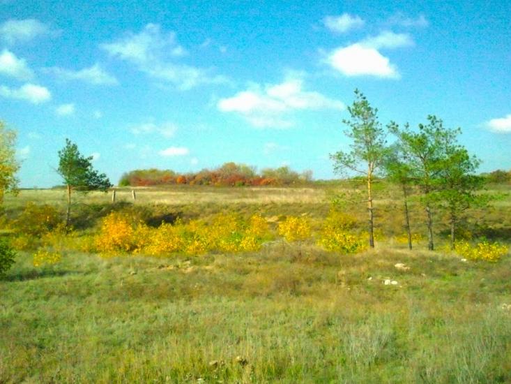 Успенівка з panoramio.com - Успенівка