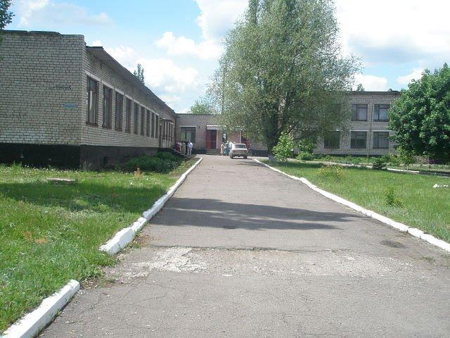 Вергулівка з panoramio.com - Вергулівка