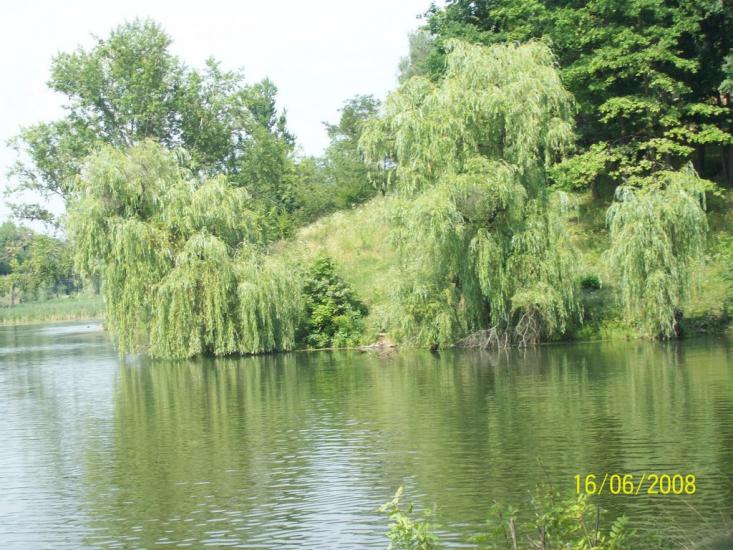 Буди з panoramio.com - Буды