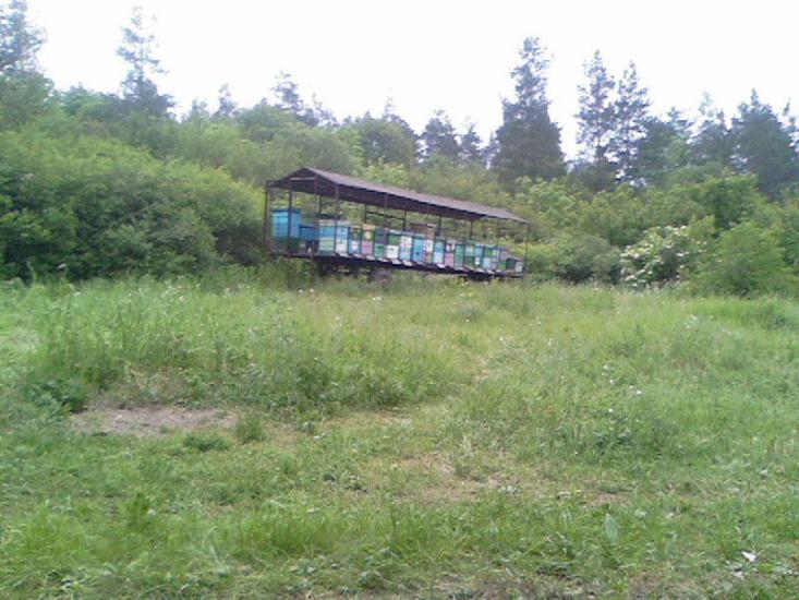 Великомихайлівка з panoramio.com - Великомихайлівка