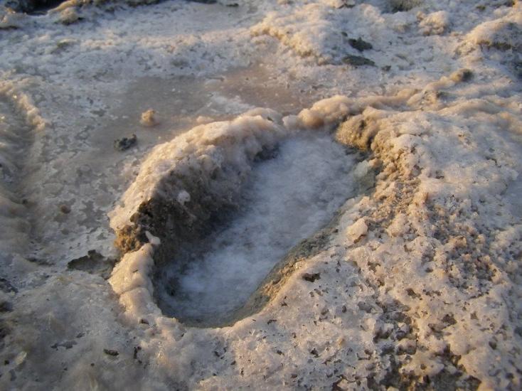 Хуторок з panoramio.com - Хуторок