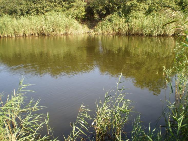 Сергіївка з panoramio.com - Сергіївка