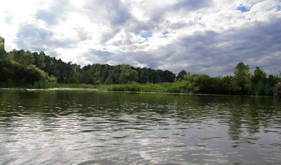 Студенок з panoramio.com - Студенок