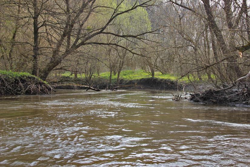 Личківці з panoramio.com - Лычковцы