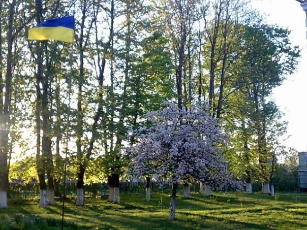 Юхимівці з panoramio.com - Юхимівці