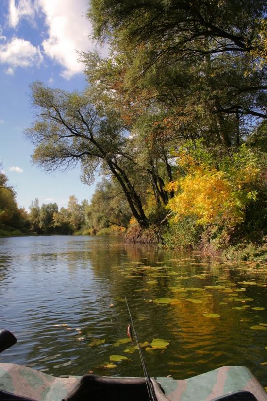 Юрки з panoramio.com - Yurky