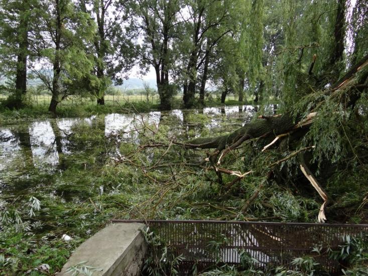 Біла Церква з panoramio.com - Біла Церква