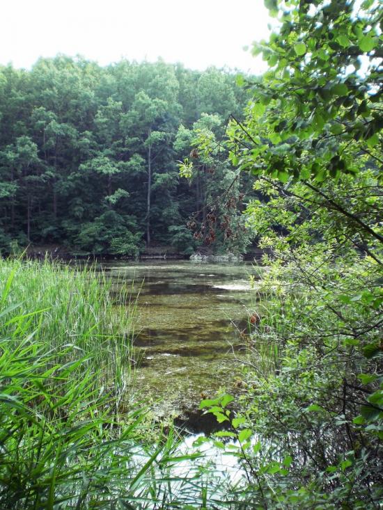 Руські Тишки з panoramio.com - Руські Тишки