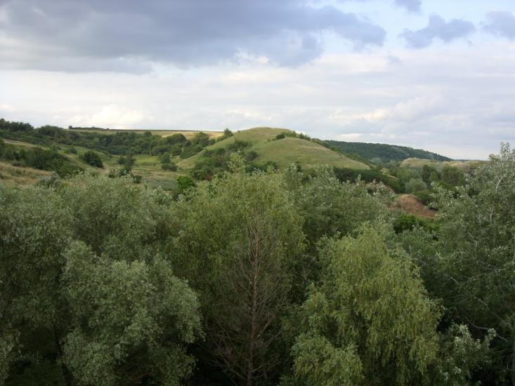 Заможнє з panoramio.com - Заможнє