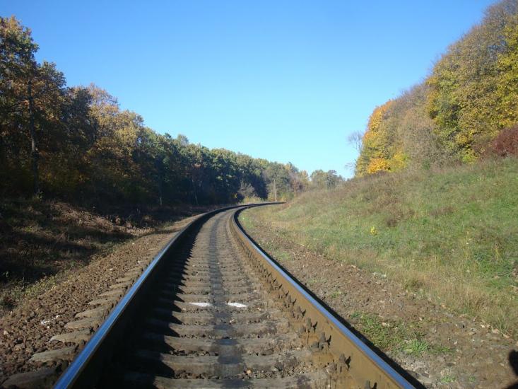 Щиборівка з panoramio.com - Щиборовка