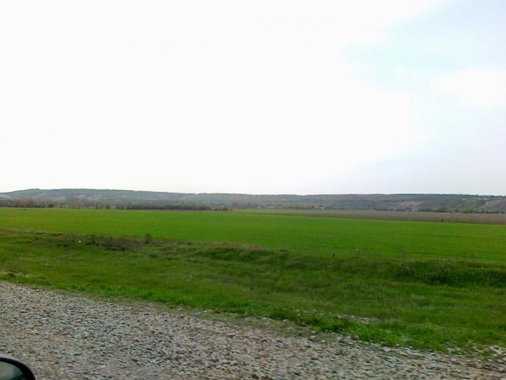 Весела Тарасівка з panoramio.com - Весела Тарасівка