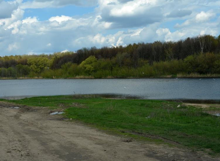 Городецьке з panoramio.com - Gorodetske