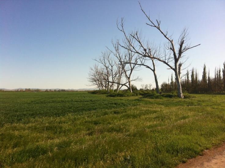 Жемчужина з panoramio.com - Жемчужина