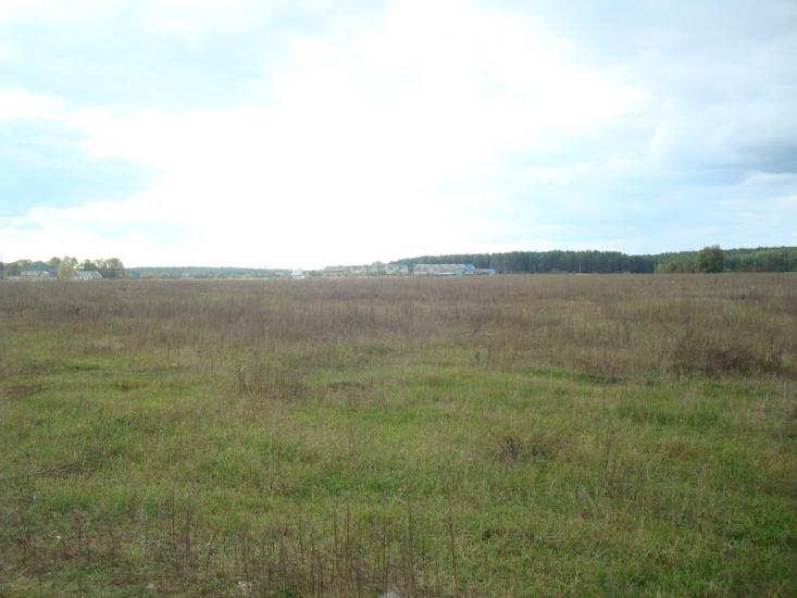 Цвітоха з panoramio.com - Цветоха