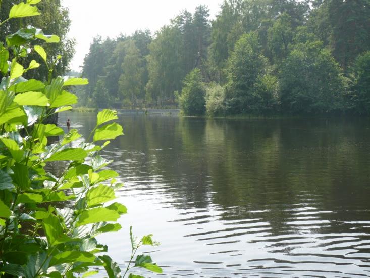 Лютіж з panoramio.com - Lyutizh