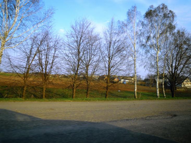 Голодьки з panoramio.com - Голодьки