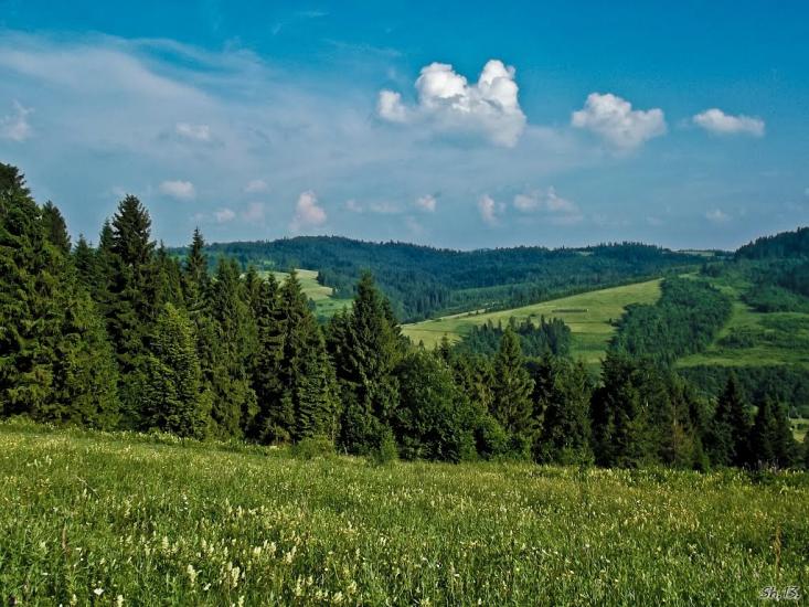 Коростів з panoramio.com - Коростов