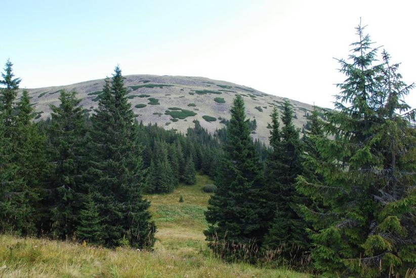 Черник з panoramio.com - Черник