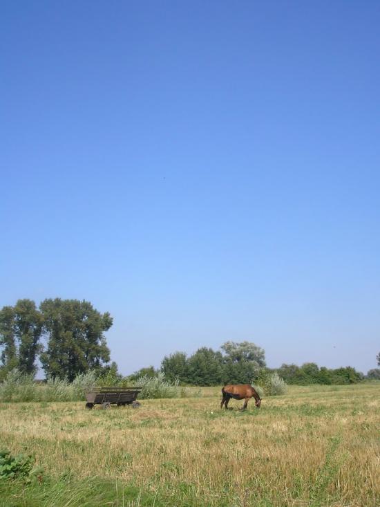 Пульмо з panoramio.com - Пульмо