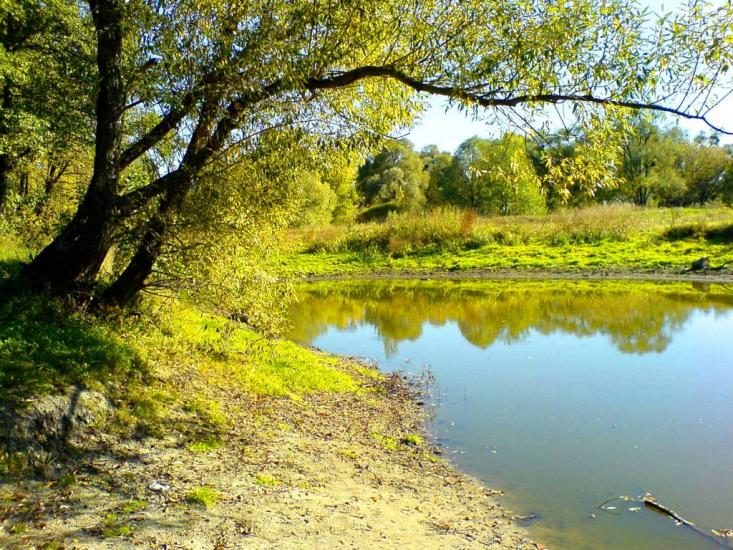 Хорошеве з panoramio.com - Хорошево