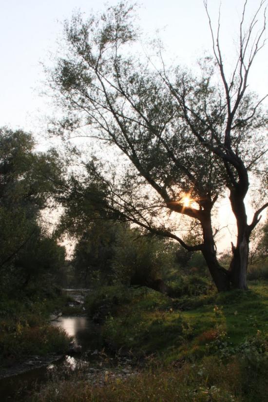 Чинадійово з panoramio.com - Чинадиево