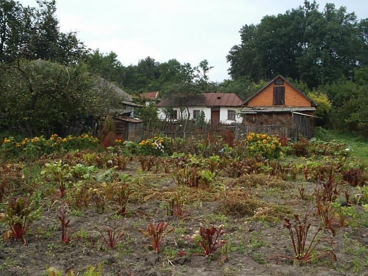 Михайлівка з panoramio.com - Михайлівка