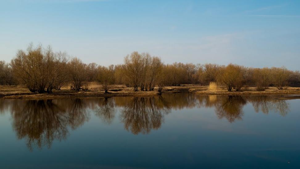 Кривуші з panoramio.com - Кривуши