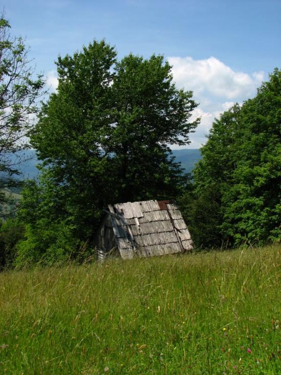 Красна з panoramio.com - Krasna