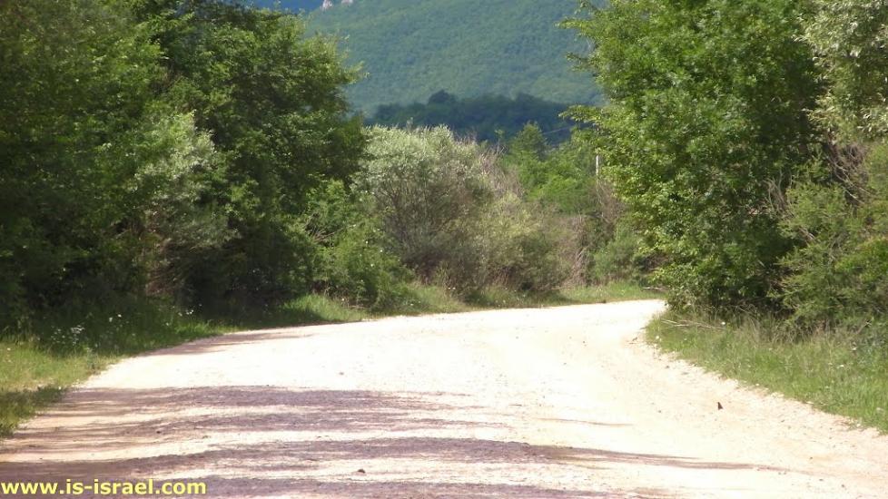 Поляна з panoramio.com - Поляна